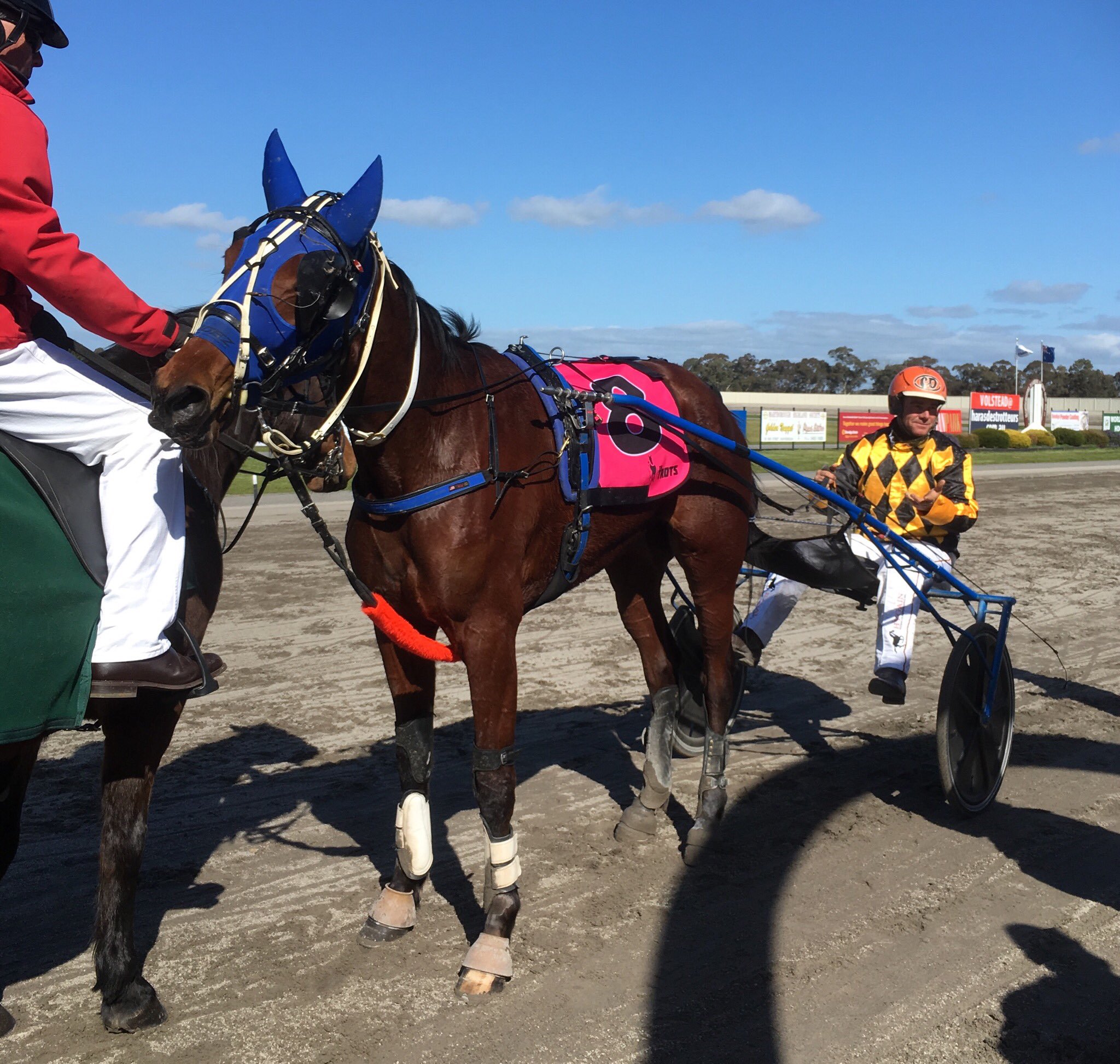 Recap Humbletonian Day 2019 at Maryborough Harness Racing Victoria